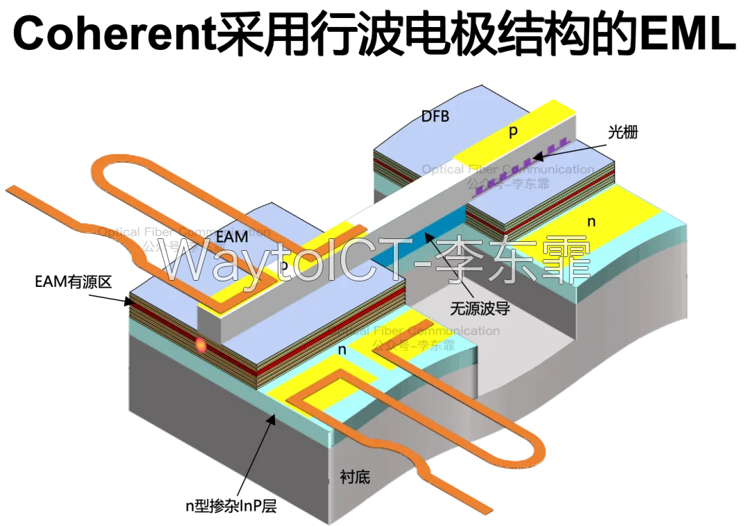 EML 3D 结构图