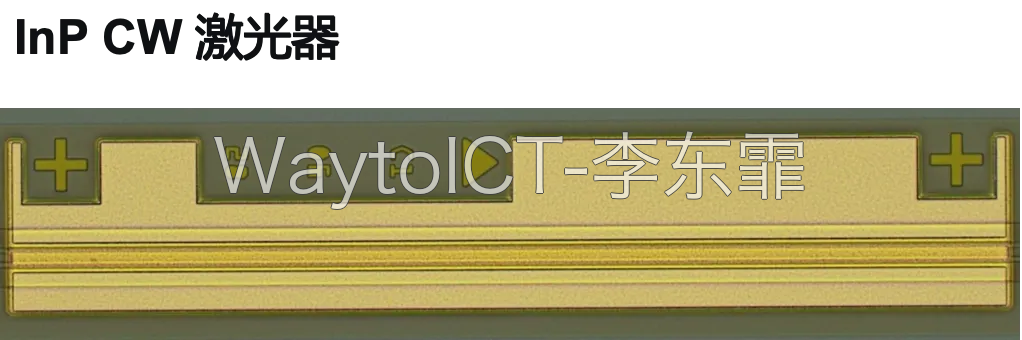 InP CW 激光器