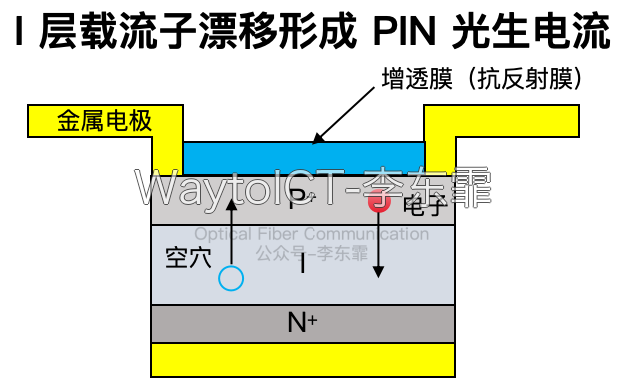 PIN探测器工作原理:光生电子空穴对在反向偏置下形成光生电流