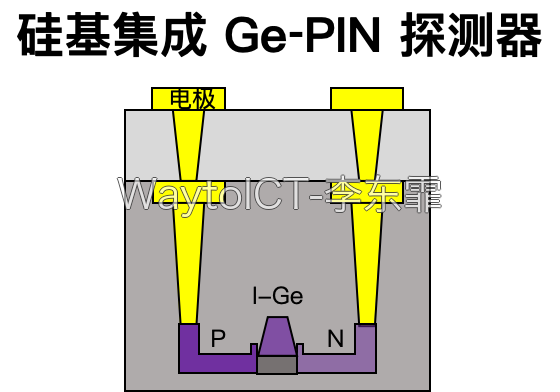 不同材料的吸收层:InP基InGaAs与硅基Ge薄膜探测器对比