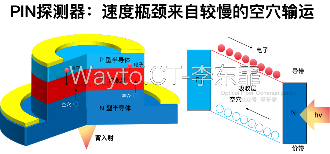 传统PIN耗尽层电场分布:空穴漂移速度慢成为带宽主要限制