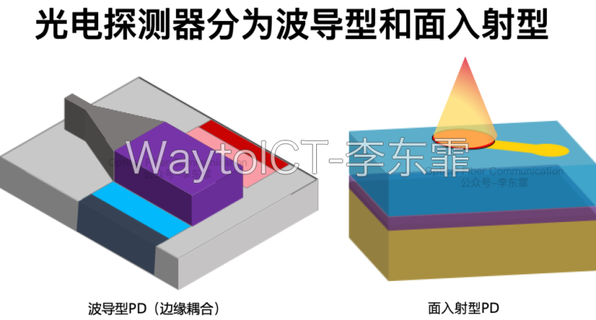 光电探测器分为波导型和面入射型:波导型PD(边缘耦合)与面入射型PD结构对比
