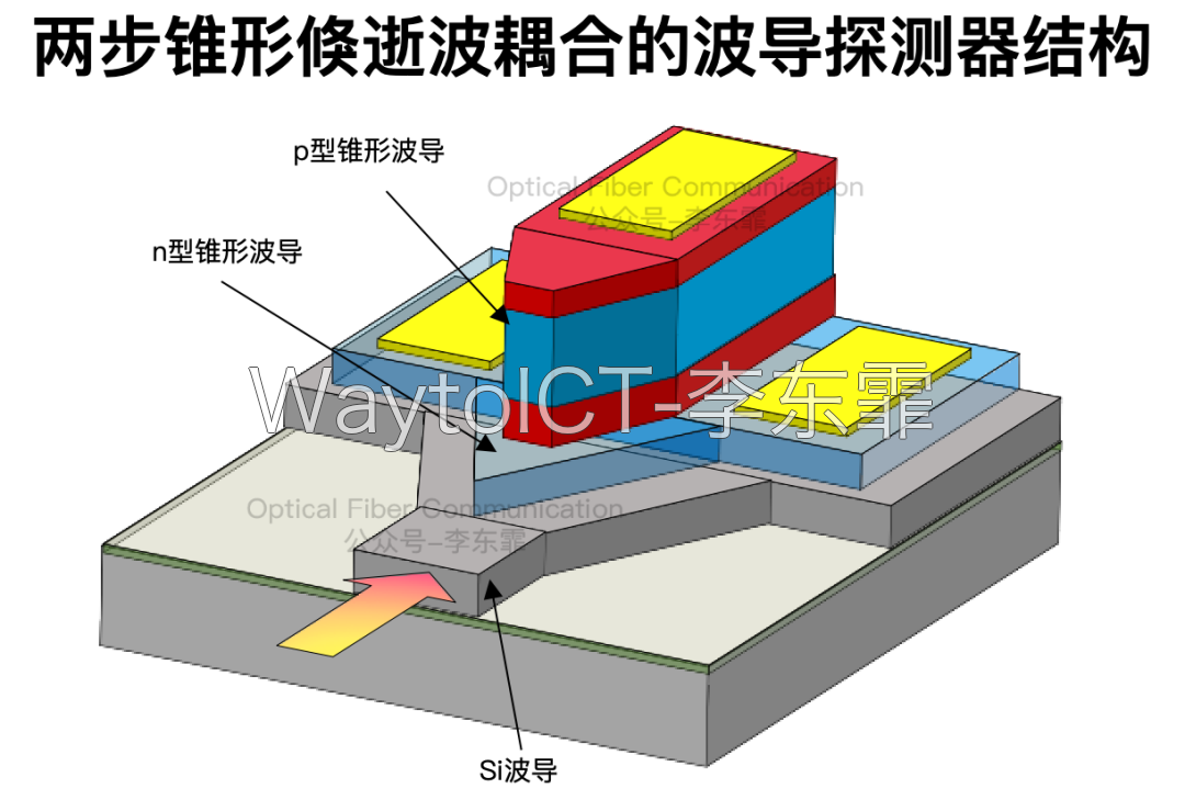 两步锥形倏逝波耦合的波导探测器结构:p型锥形波导、n型锥形波导与Si波导