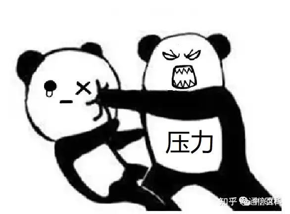 到底什么是静态路由,动态路由?