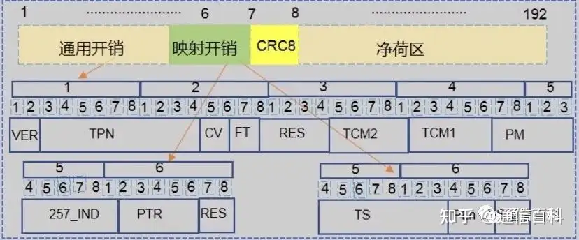 什么是Pixel OTN?