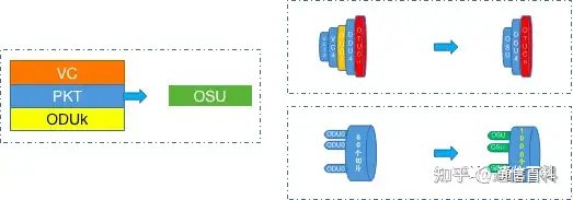 什么是Pixel OTN?